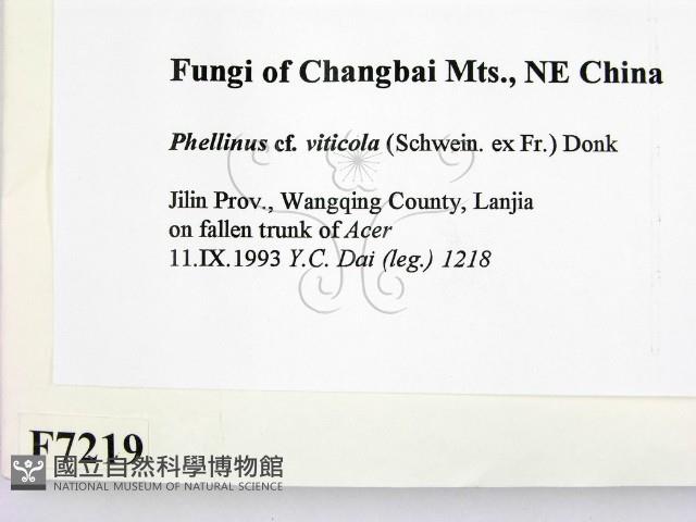 登錄號:F0007219藏品圖，第2張