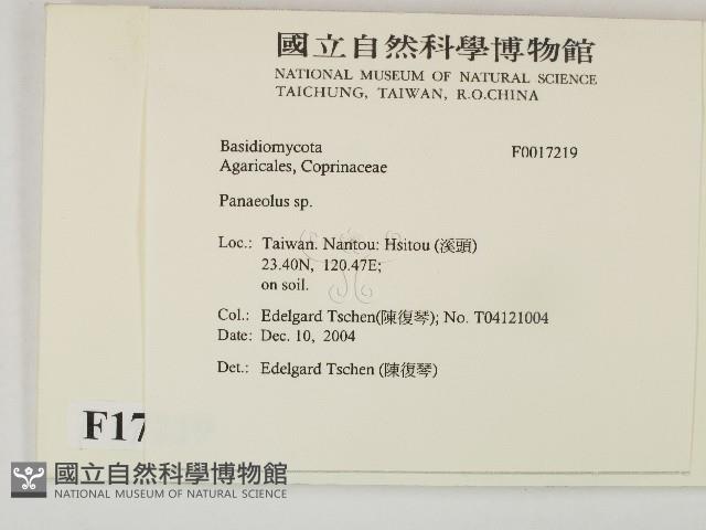 登錄號:F0017219藏品圖，第2張