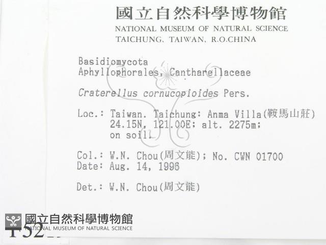 登錄號:F0005219藏品圖，第2張