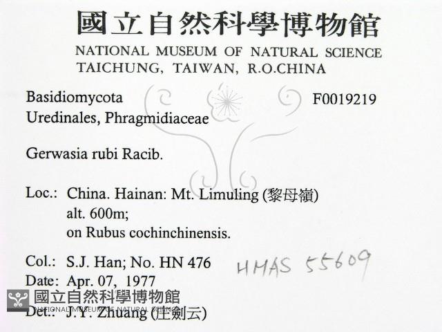 登錄號:F0019219藏品圖，第2張
