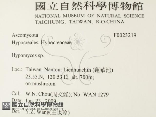 登錄號:F0023219藏品圖，第2張