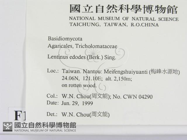 登錄號:F0013219藏品圖，第2張