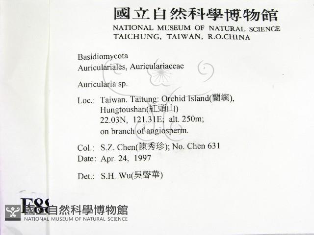 Accession Number:F0008819 Collection Image, Figure 2, Total 3 Figures