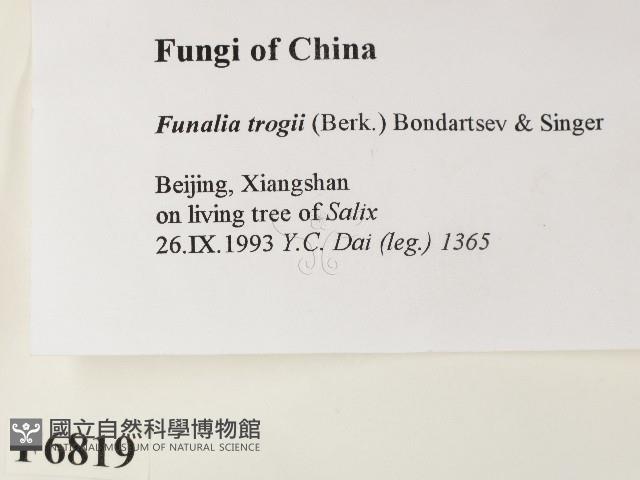 登錄號:F0006819藏品圖，第2張