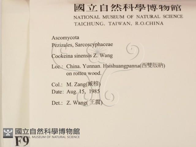 登錄號:F0009819藏品圖，第2張