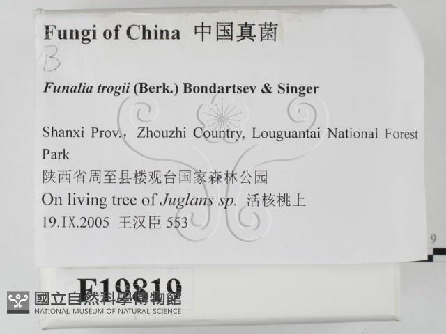 登錄號:F0019819藏品圖，第2張