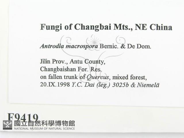 登錄號:F0004919藏品圖，第2張