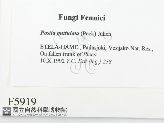 登錄號:F0005919藏品圖，第2張