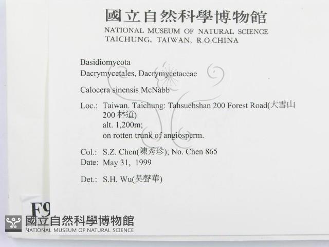 登錄號:F0009919藏品圖，第2張