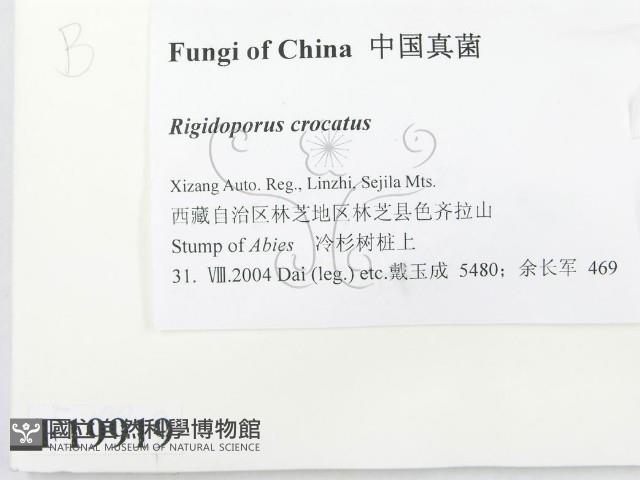 登錄號:F0019919藏品圖，第2張