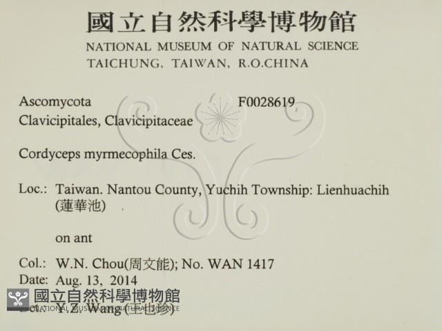登錄號:F0028619藏品圖，第2張