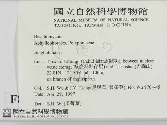 登錄號:F0008619藏品圖，第2張