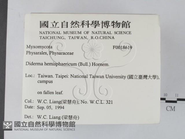 登錄號:F0018619藏品圖，第2張