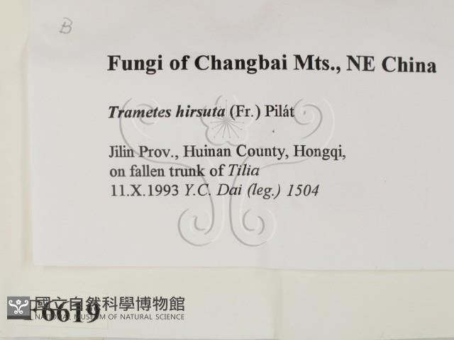 登錄號:F0006619藏品圖，第2張