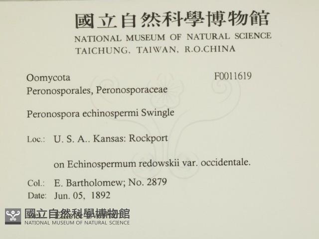 登錄號:F0011619藏品圖，第2張