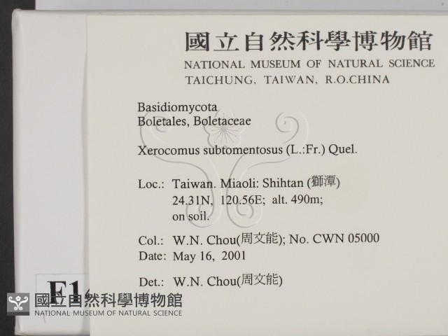 登錄號:F0014619藏品圖，第2張