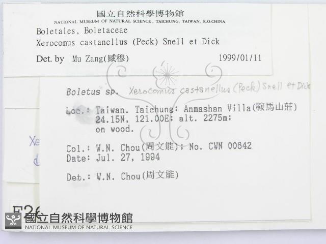 登錄號:F0002619藏品圖，第2張