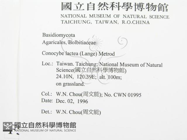 登錄號:F0005619藏品圖，第2張