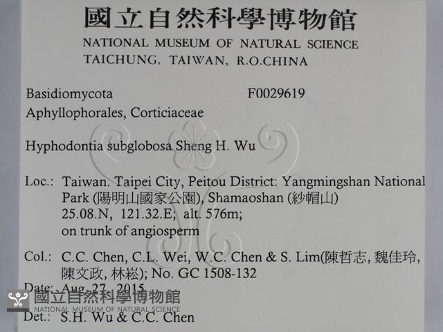 登錄號:F0029619藏品圖，第2張