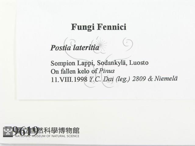 登錄號:F0009619藏品圖，第2張