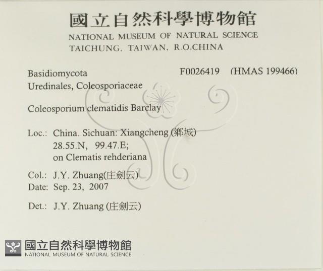 登錄號:F0026419藏品圖，第2張