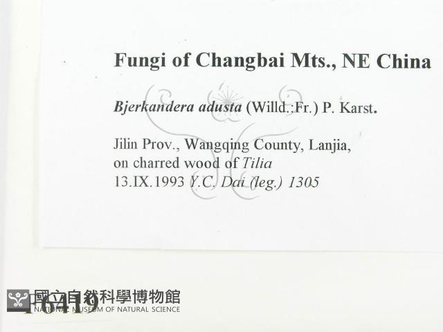 煙管菌藏品圖，第2張