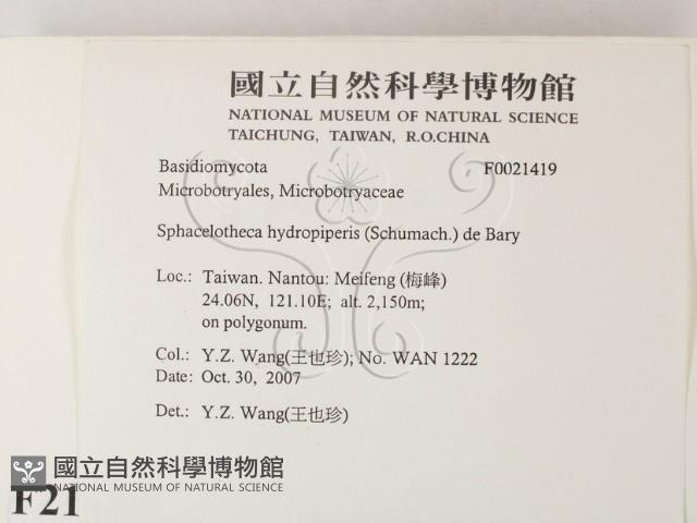 登錄號:F0021419藏品圖，第2張