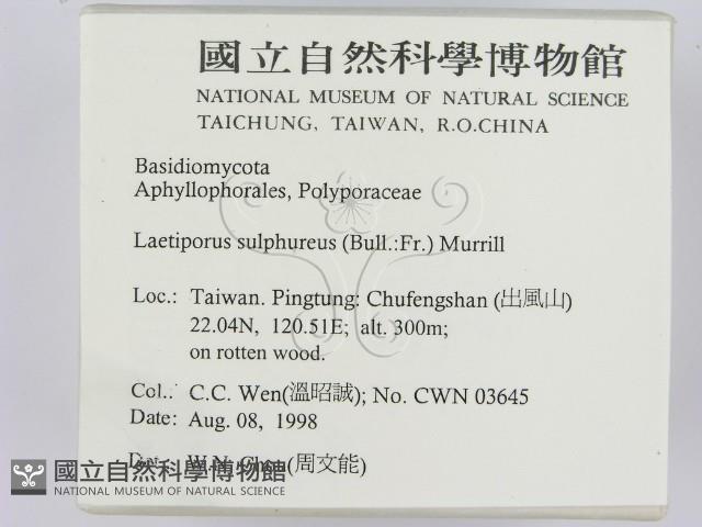 登錄號:F0012419藏品圖，第2張