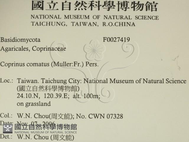登錄號:F0027419藏品圖，第2張