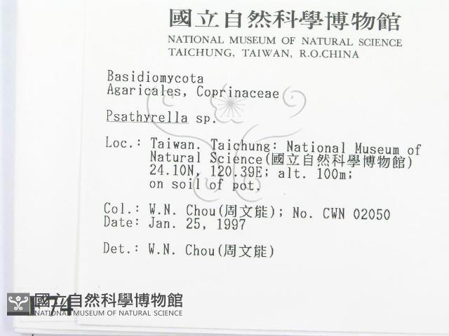 登錄號:F0007419藏品圖，第2張