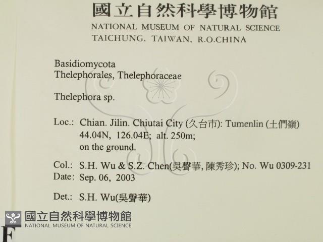 革菌屬藏品圖，第2張
