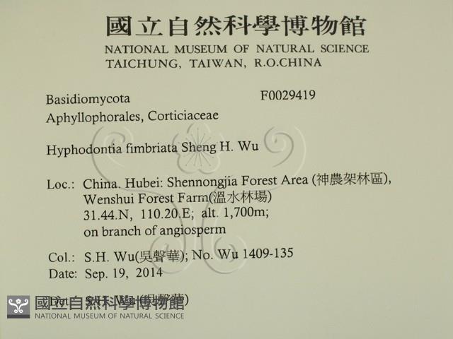 登錄號:F0029419藏品圖，第2張