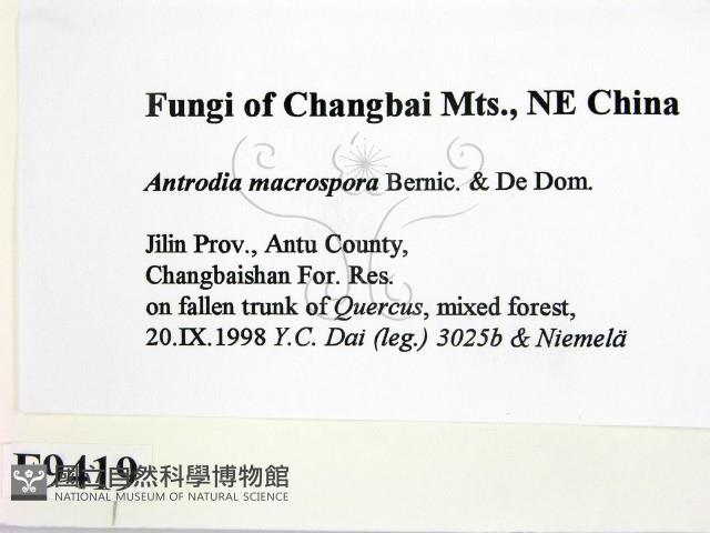 登錄號:F0009419藏品圖，第2張