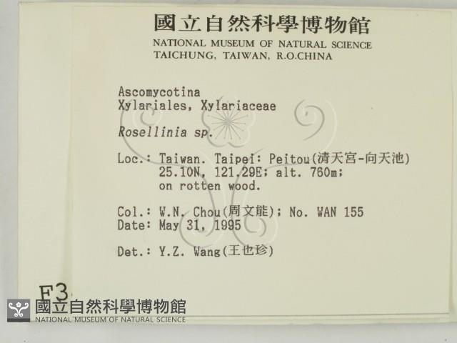 登錄號:F0003419藏品圖，第2張