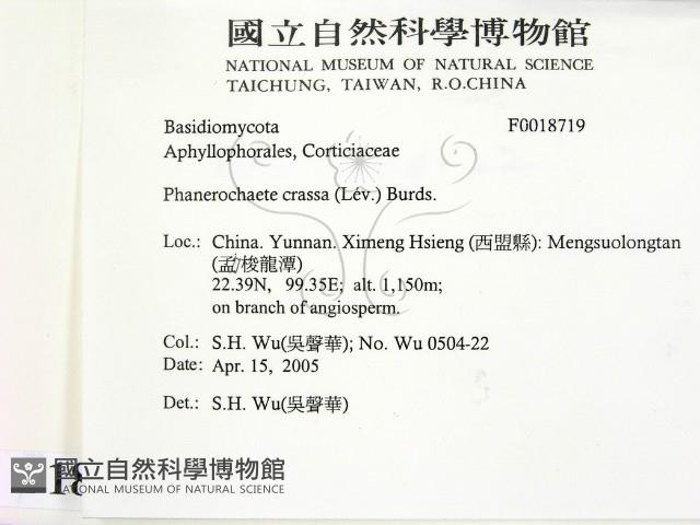登錄號:F0018719藏品圖，第2張