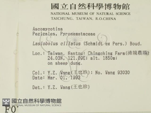 登錄號:F0000719藏品圖，第2張