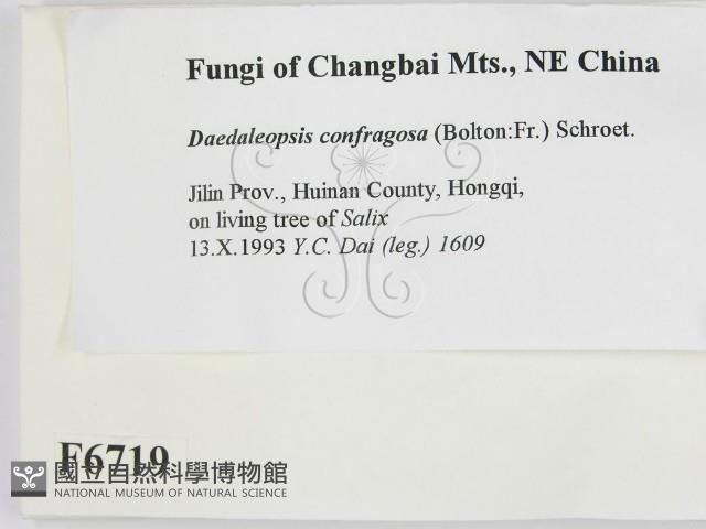 登錄號:F0006719藏品圖，第2張