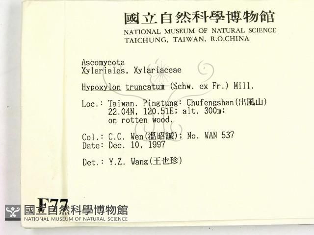 登錄號:F0007719藏品圖，第2張