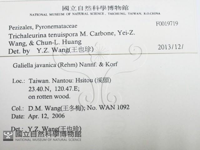 登錄號:F0019719藏品圖，第2張
