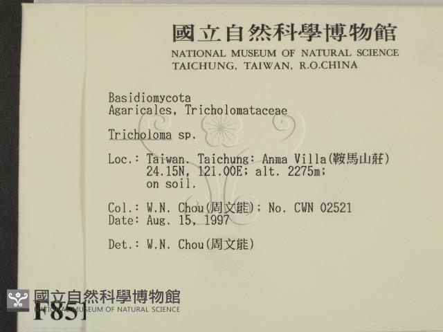 登錄號:F0008519藏品圖，第2張