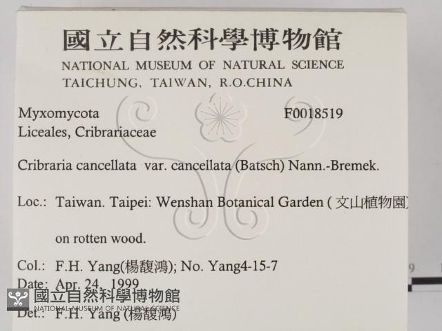 登錄號:F0018519藏品圖，第2張