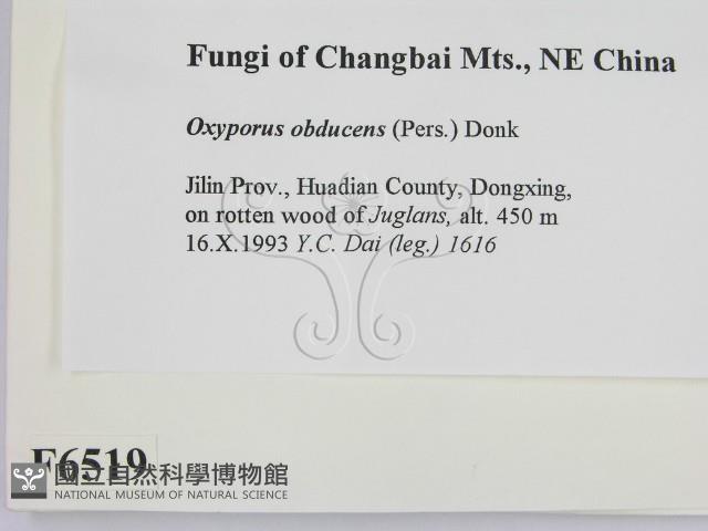 登錄號:F0006519藏品圖，第2張