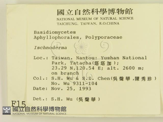 登錄號:F0001519藏品圖，第2張