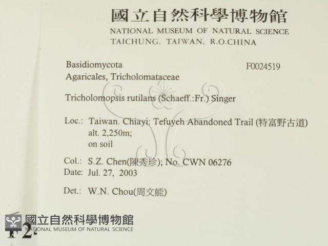 登錄號:F0024519藏品圖，第2張