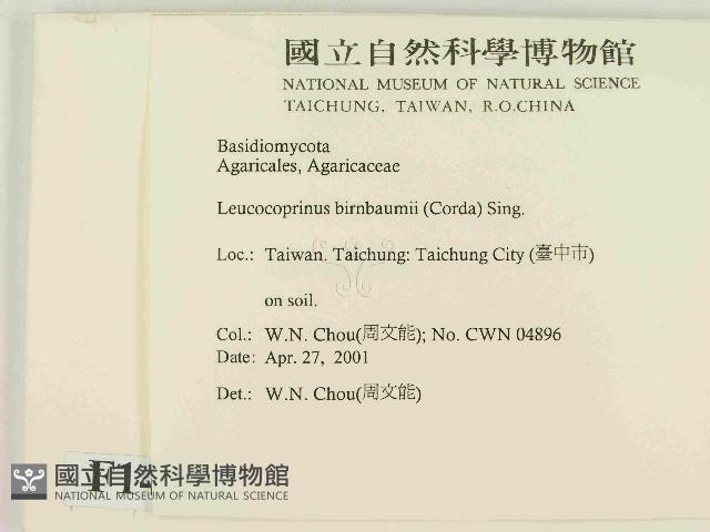 登錄號:F0014519藏品圖，第2張