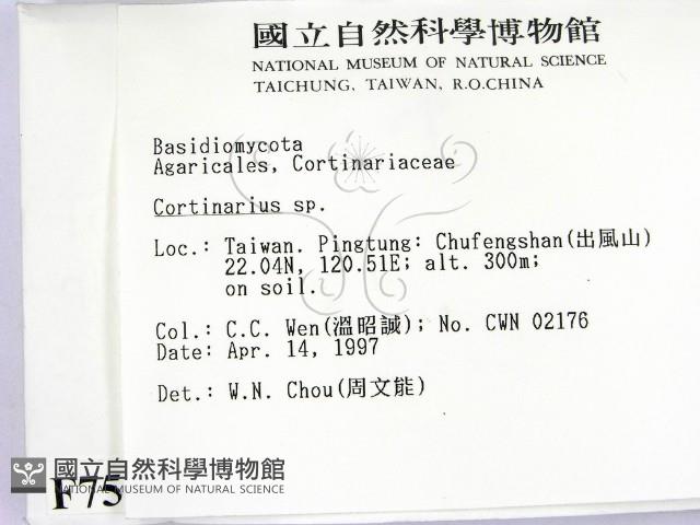 登錄號:F0007519藏品圖，第2張