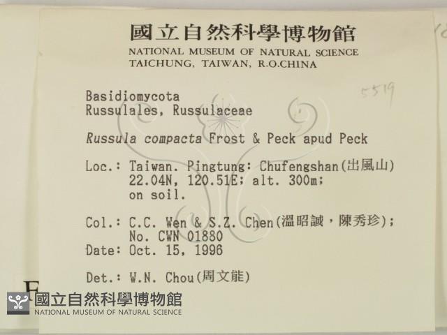 登錄號:F0005519藏品圖，第2張