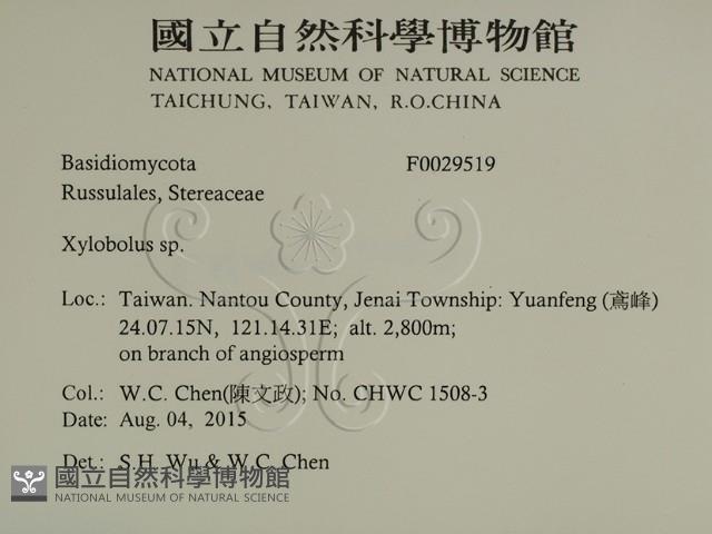 登錄號:F0029519藏品圖，第2張