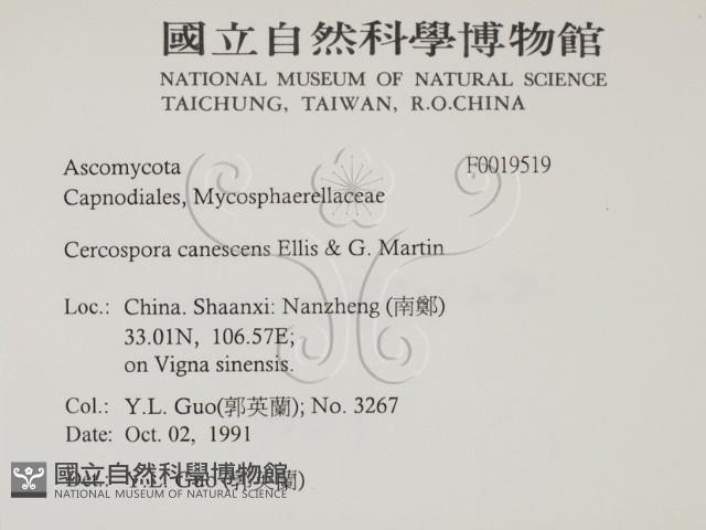 登錄號:F0019519藏品圖，第2張