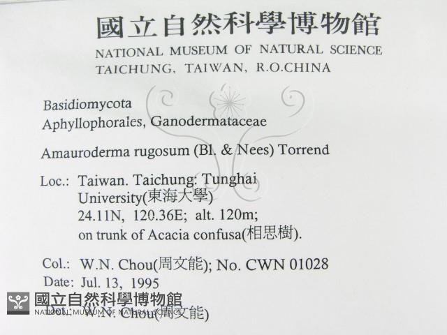 登錄號:F0003519藏品圖，第2張